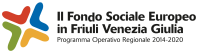 logo fse